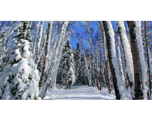 Desk Calendar DC 5